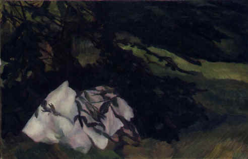 Le bois sombre - Levine