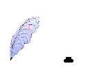 colette.gif (28995 octets)